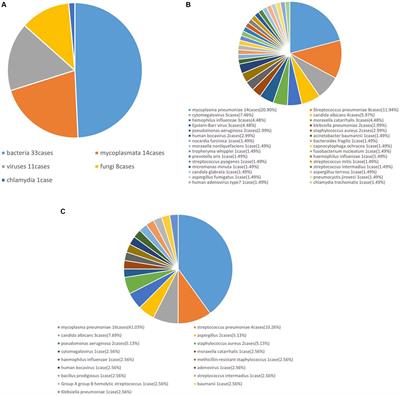 Application of metagenomic next-generation sequencing in the etiological diagnosis of refractory pneumonia in children